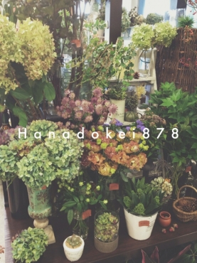 「花時計」　（愛知県安城市）の花屋店舗写真1